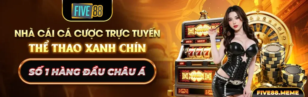 Tổng quan về vb9 casino và đội ngũ